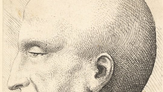 Falacrofobia (medo de calvície): sintomas, causas e tratamentos 35