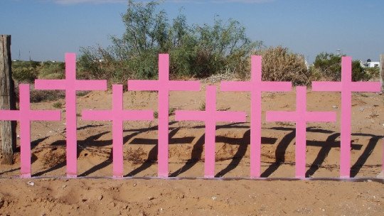 Feminicídio (assassinato de mulher): definição, tipos e causas 1