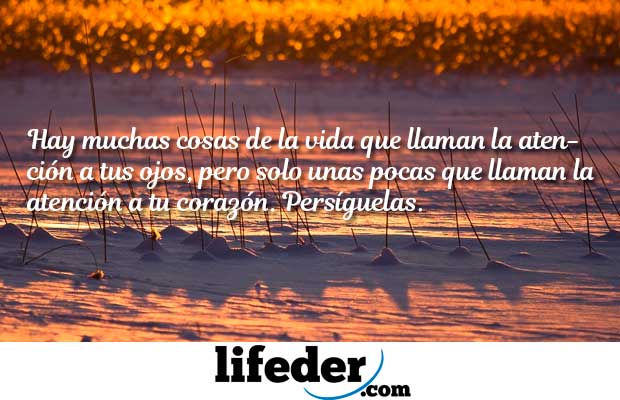 As 100 Melhores Frases de Crescimento Pessoal 15