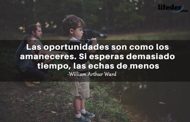 100 frases de oportunidades novas e perdidas (curta) 1