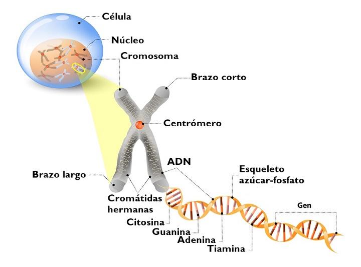 O que é embalagem de DNA? 3