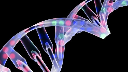Genética e comportamento: os genes decidem como agimos? 1