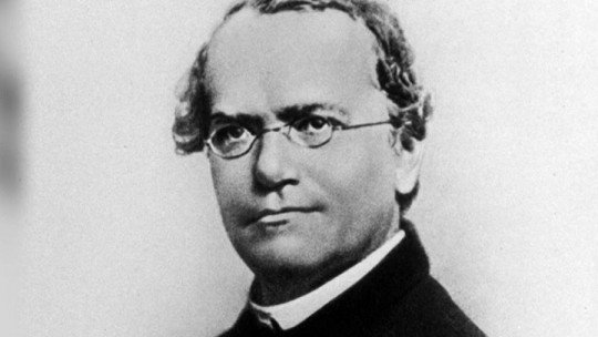 Gregor Mendel: biografia do pai da genética moderna 1