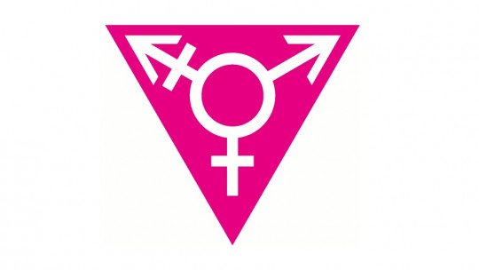 Hermafroditismo (intersexualidade): tipos, sintomas e tratamento 32
