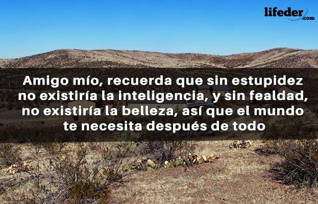 121 frases engraçadas e engraçadas (curtas) 13