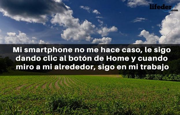 121 frases engraçadas e engraçadas (curtas) 14