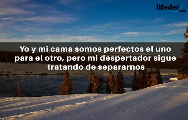 121 frases engraçadas e engraçadas (curtas) 18