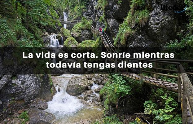 121 frases engraçadas e engraçadas (curtas) 6