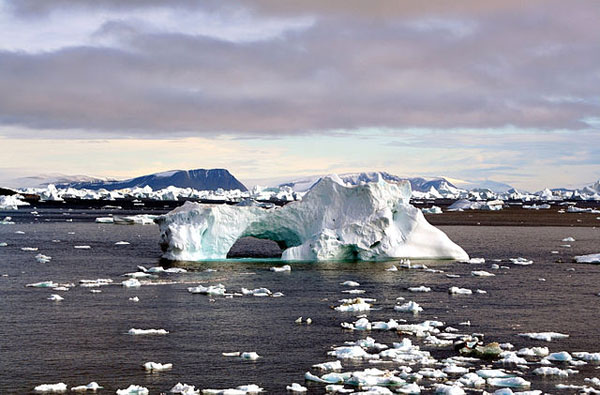 Oceano Ártico: origem geológica, clima, flora e fauna 2