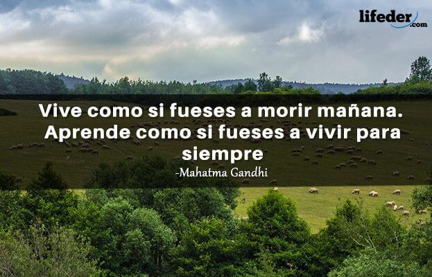 +100 Frases chocantes para pensar, amar e livros 12