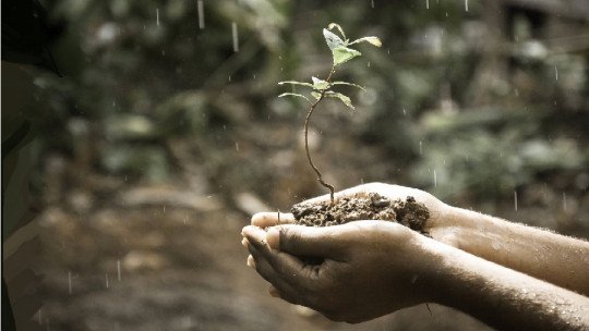 Inteligência naturalista: o que é e para que serve? 3