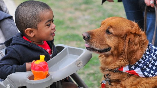 Intervenção Assistida por Animais: uma terapia especial 1