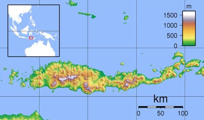 Parque Nacional de Komodo: História, Localização, Flora, Fauna 3