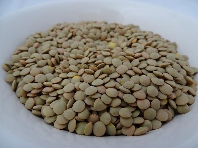 Leguminosas (Fabaceae): características, habitat, cultivo, usos 15