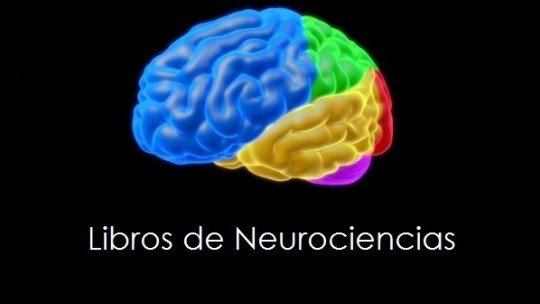 13 livros de neurociência para iniciantes (altamente recomendado) 1