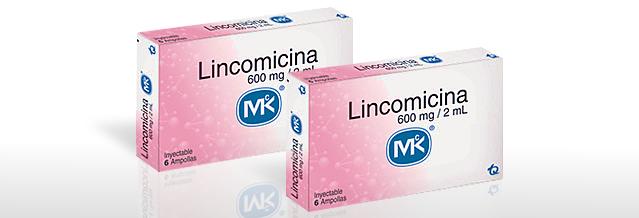 Lincomicina: características, para que serve, efeitos 1