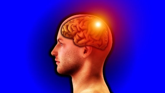Lobo parietal: características e funções 1