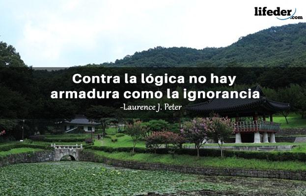 As 51 melhores frases de lógica e razão [com imagens] 11