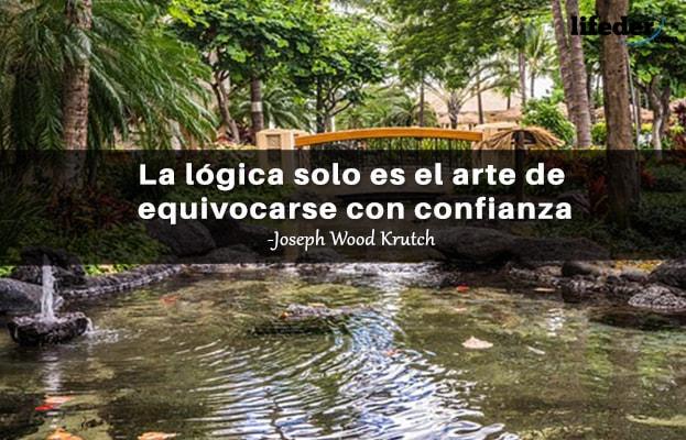 As 51 melhores frases de lógica e razão [com imagens] 12