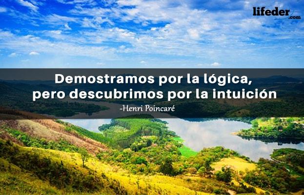 As 51 melhores frases de lógica e razão [com imagens] 13