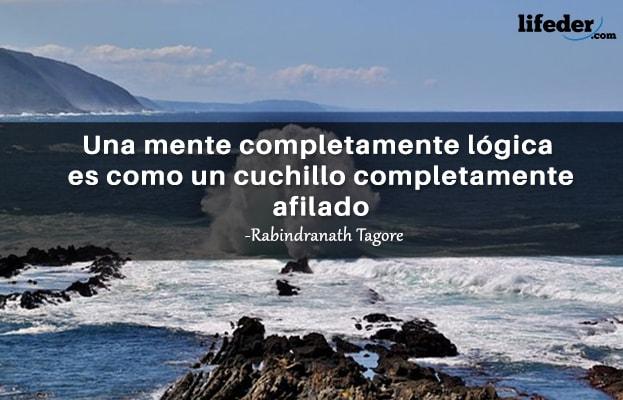 As 51 melhores frases de lógica e razão [com imagens] 14
