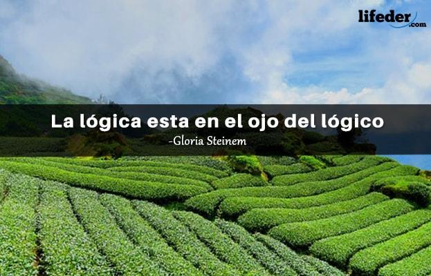 As 51 melhores frases de lógica e razão [com imagens] 15