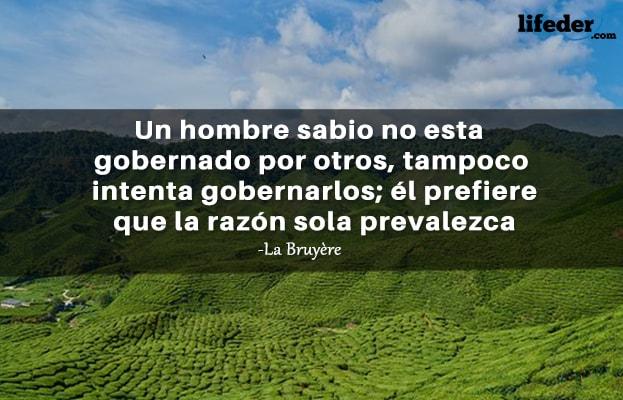 As 51 melhores frases de lógica e razão [com imagens] 16
