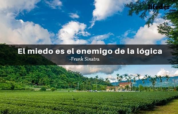 As 51 melhores frases de lógica e razão [com imagens] 17