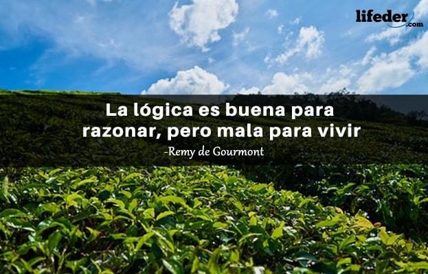 As 51 melhores frases de lógica e razão [com imagens] 19