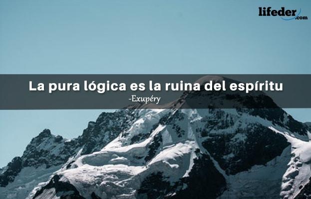 As 51 melhores frases de lógica e razão [com imagens] 3