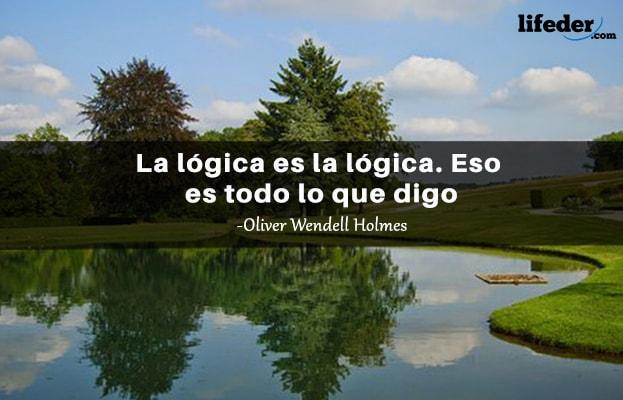 As 51 melhores frases de lógica e razão [com imagens] 21