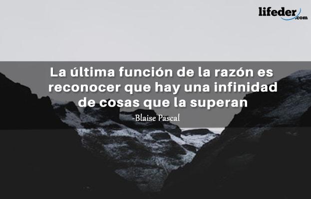 As 51 melhores frases de lógica e razão [com imagens] 5