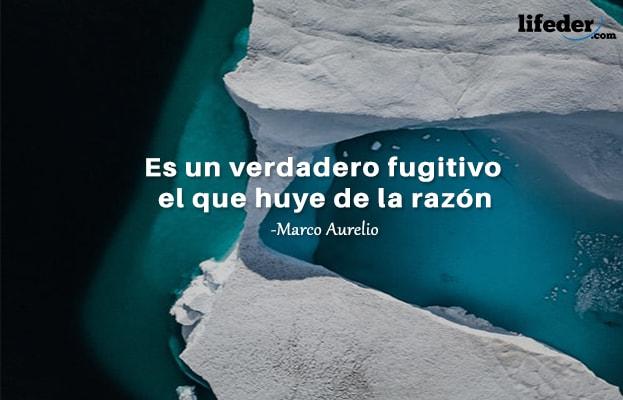 As 51 melhores frases de lógica e razão [com imagens] 9