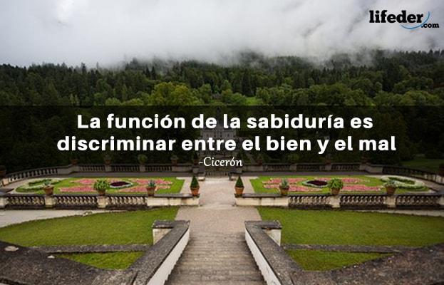 As 79 melhores frases do mal 15