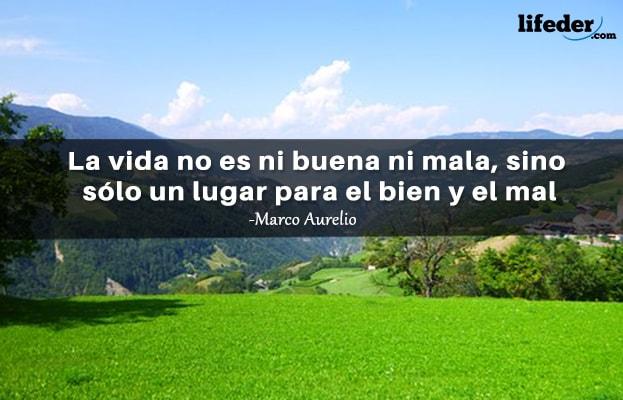 As 79 melhores frases do mal 16