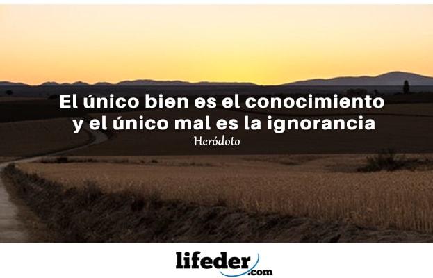 As 79 melhores frases do mal 20