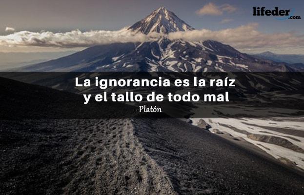 As 79 melhores frases do mal 21