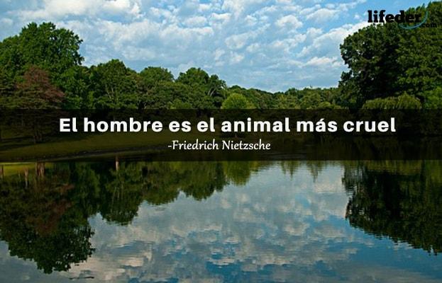 As 79 melhores frases do mal 10