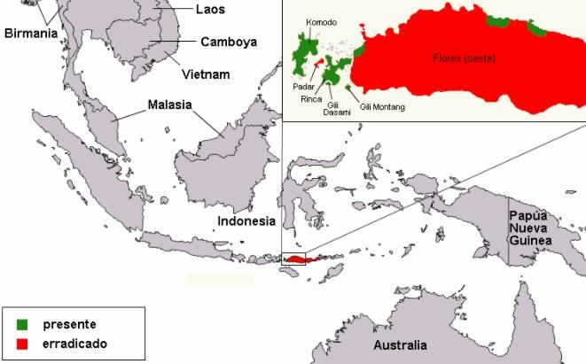 Parque Nacional de Komodo: História, Localização, Flora, Fauna 4
