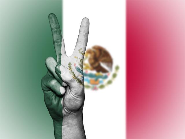 História dos direitos humanos no México: características 1