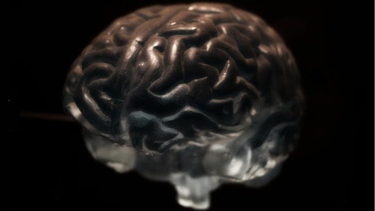 Os 4 grandes modelos integrativos em terapia psicológica 8