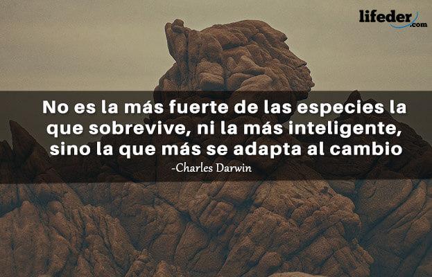 +100 Frases Míticas e Históricas 17
