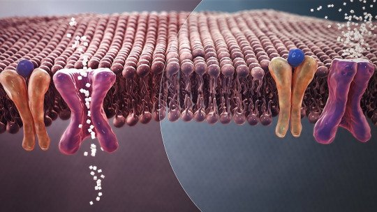 Neuropatias diabéticas: tipos, sintomas, causas e tratamentos 24
