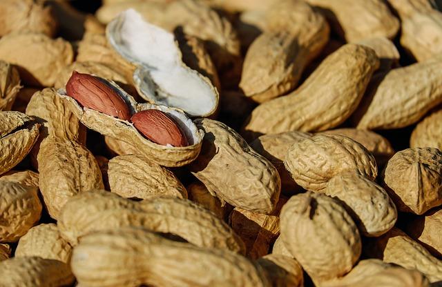 Leguminosas (Fabaceae): características, habitat, cultivo, usos 12