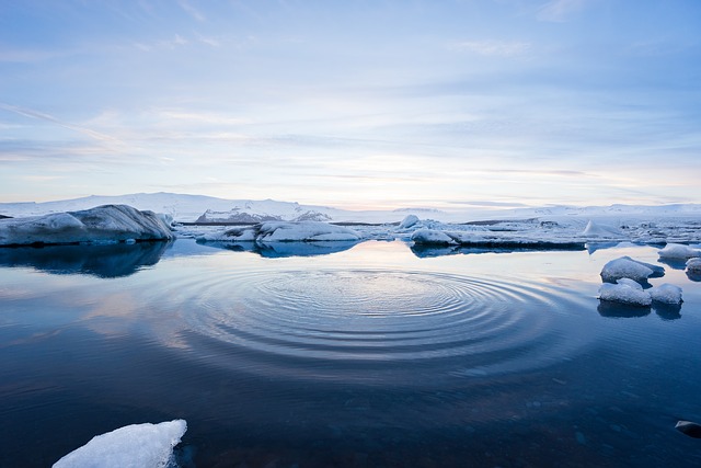 Oceano Ártico: origem geológica, clima, flora e fauna 1