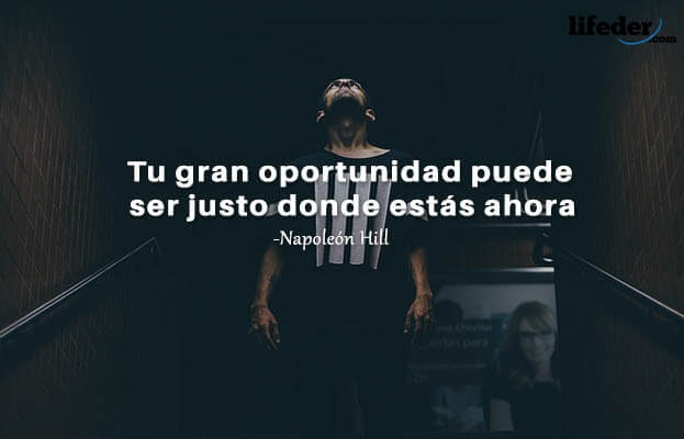100 frases de oportunidades novas e perdidas (curta) 11
