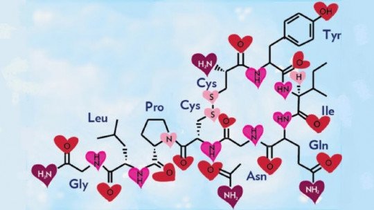 O que é ocitocina e quais funções esse hormônio desempenha? 1