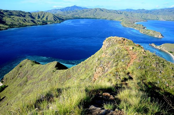 Parque Nacional de Komodo: História, Localização, Flora, Fauna 1