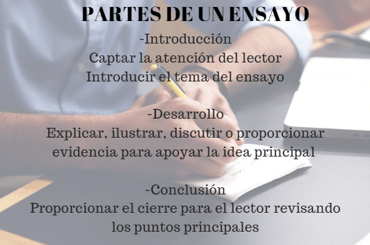 As 4 partes de um ensaio e suas características (com exemplos) 1