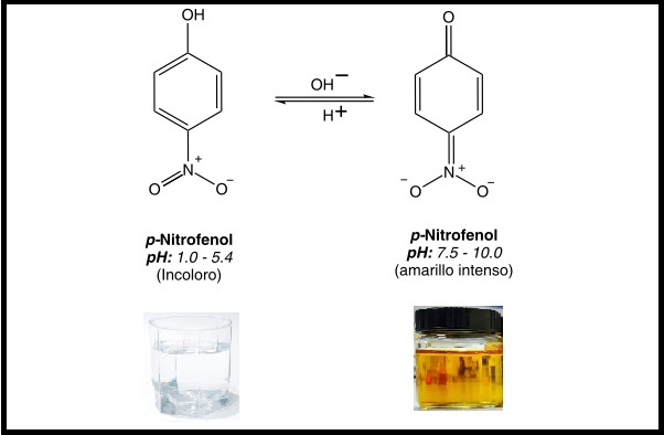 p-nitrofenol: características, utilizações e toxicidade 1